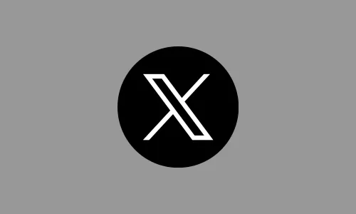 X (Old Twitter)